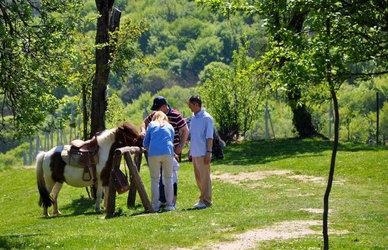 Activities on the property